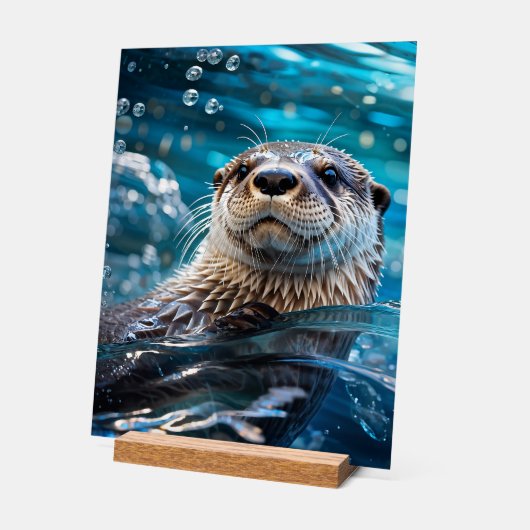 otterzwemmen acryl bord (Hoek)