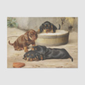 Otto Bache | Dachshund-Puppies Tissuepapier (Voorkant)