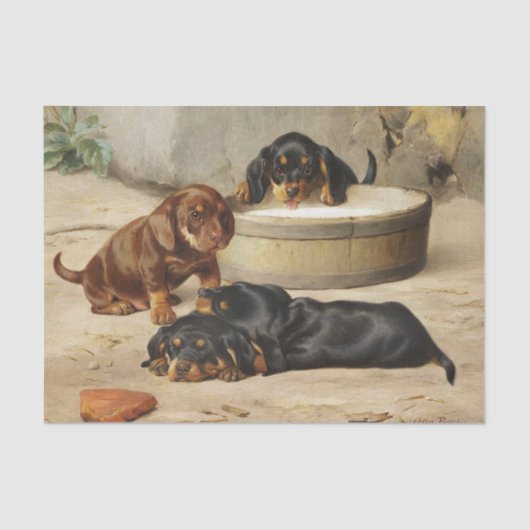 Otto Bache | Dachshund-Puppies Tissuepapier (Voorkant)