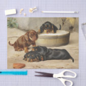 Otto Bache | Dachshund-Puppies Tissuepapier (Craft)