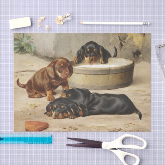 Otto Bache | Dachshund-Puppies Tissuepapier (Craft)