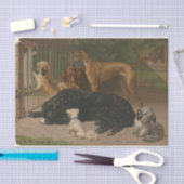 Otto Bache | Honden niet toegelaten Tissuepapier (Craft)