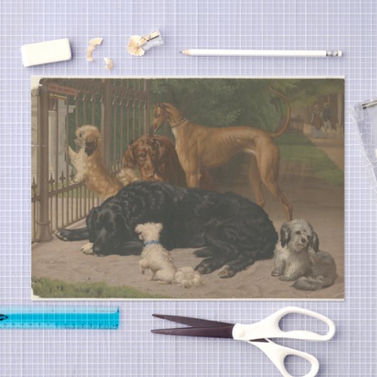 Otto Bache | Honden niet toegelaten Tissuepapier (Craft)