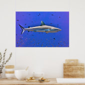 Otto Poster (Keuken)