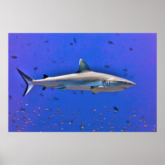 Otto Poster (Voorkant)