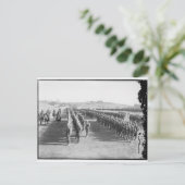 Ottomaanse militairen briefkaart (Staand voorkant)