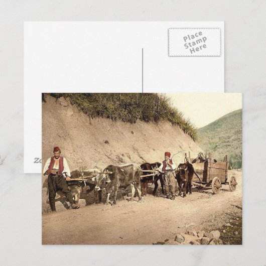 Ottoman Empire Briefkaart (Voorkant / Achterkant)