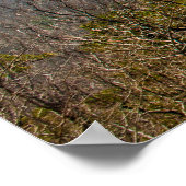 Ouachita Mountains, Oklahoma Poster (Hoek)