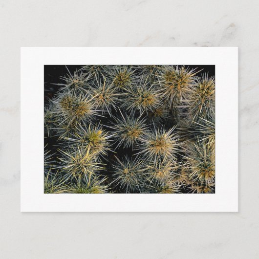 "Ouch Cluster" Briefkaart (Voorkant)