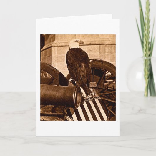 Oud abe-ca 1875 van Eagle Stereoview van de Oorlog Kaart (Voorkant)