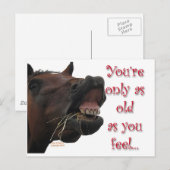 Oud als je een raar paard voelt briefkaart (Voorkant / Achterkant)