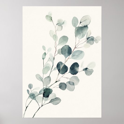 Oud aquarel Eucalyptus tak Wandschildering Poster (Voorkant)