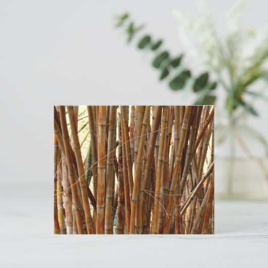 Oud bamboepapier (Staand voorkant)