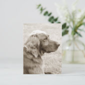 Oud blauw briefkaart (Staand voorkant)