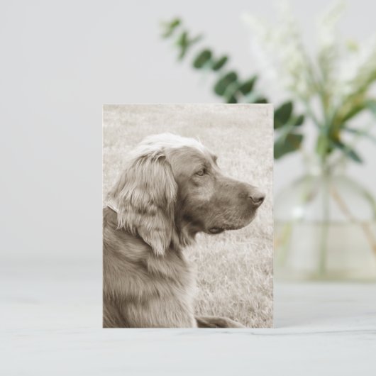 Oud blauw briefkaart (Staand voorkant)