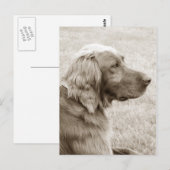 Oud blauw briefkaart (Voorkant / Achterkant)