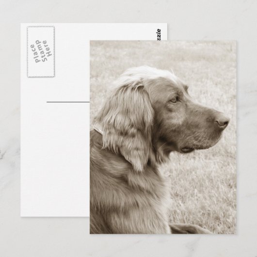 Oud blauw briefkaart (Voorkant / Achterkant)