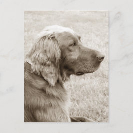 Oud blauw briefkaart