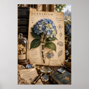 Oud Blauwe Hortensia Naturalisten Studie Muurkunst Poster
