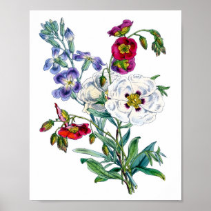 Oud boeket waterverf bloemen poster