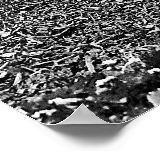 OUD BOERDERIJ TREKKER POSTER (Hoek)