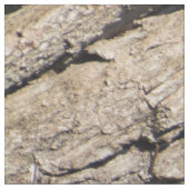 Oud boomstampatroon stof (Close Up)