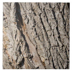 Oud boomstampatroon tegeltje