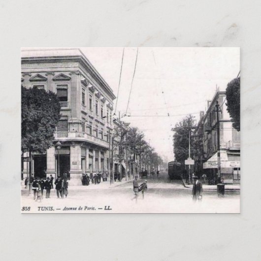 Oud Briefkaart - Avenue de Paris, Tunis (Voorkant)