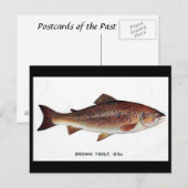 Oud Briefkaart - bruine forel (Voorkant / Achterkant)