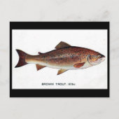 Oud Briefkaart - bruine forel (Voorkant)