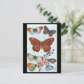Oud Briefkaart - Butterflies (Staand voorkant)