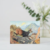Oud Briefkaart - Chamois Goat (Staand voorkant)