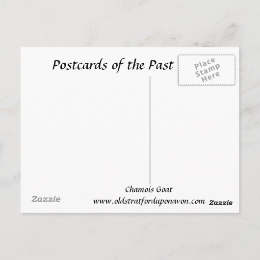 Oud Briefkaart - Chamois Goat (Achterkant)