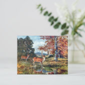 Oud Briefkaart - Deer (Staand voorkant)