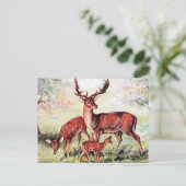 Oud Briefkaart - Deer (Staand voorkant)