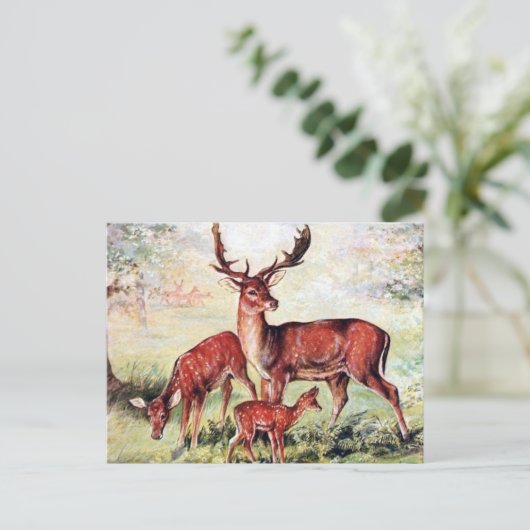 Oud Briefkaart - Deer (Staand voorkant)