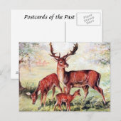 Oud Briefkaart - Deer (Voorkant / Achterkant)