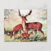 Oud Briefkaart - Deer (Voorkant)