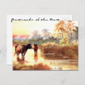 Oud Briefkaart - een zomeravond (Voorkant / Achterkant)