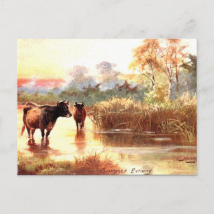 Oud Briefkaart - een zomeravond