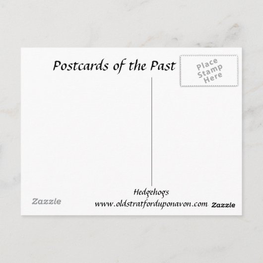 Oud Briefkaart - Egels (Achterkant)