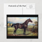 Oud Briefkaart - Engels jager (Voorkant / Achterkant)