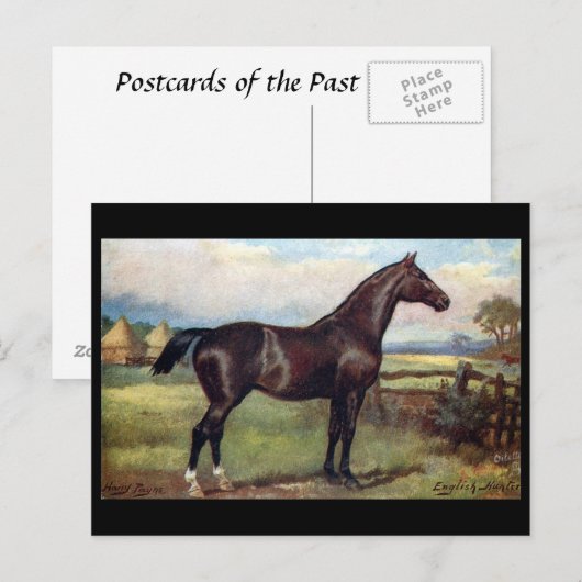 Oud Briefkaart - Engels jager (Voorkant / Achterkant)