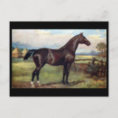 Oud Briefkaart - Engels jager (Voorkant)