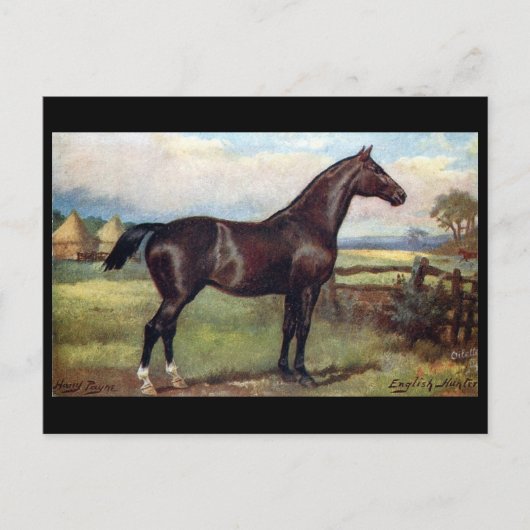 Oud Briefkaart - Engels jager (Voorkant)