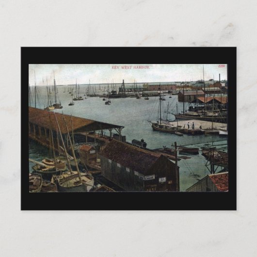 Oud Briefkaart - Florida, Key West Harbour (Voorkant)