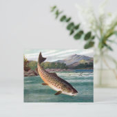 Oud Briefkaart - forel (Staand voorkant)