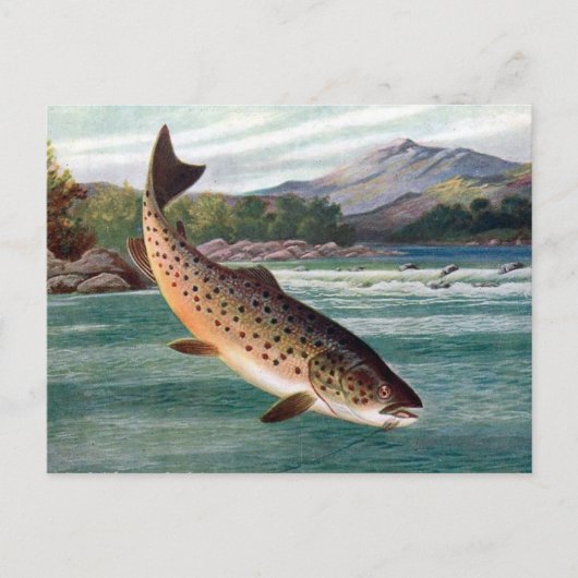 Oud Briefkaart - forel (Voorkant)