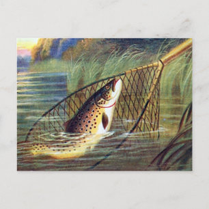 Oud Briefkaart - forel