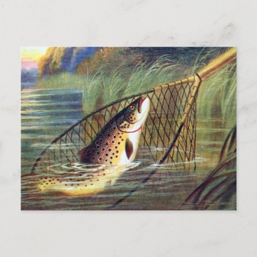 Oud Briefkaart - forel (Voorkant)